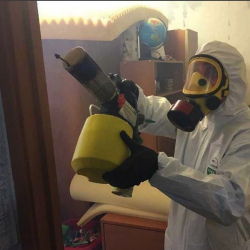 Уничтожение клопов в квартире. Иланский